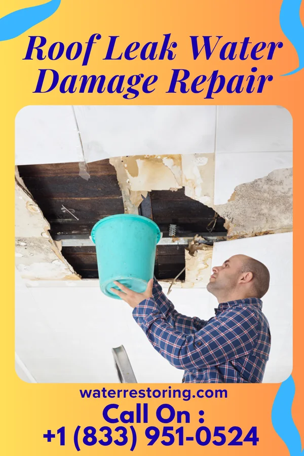 Roof Leak Water Damage Repair in Kingsville, MO