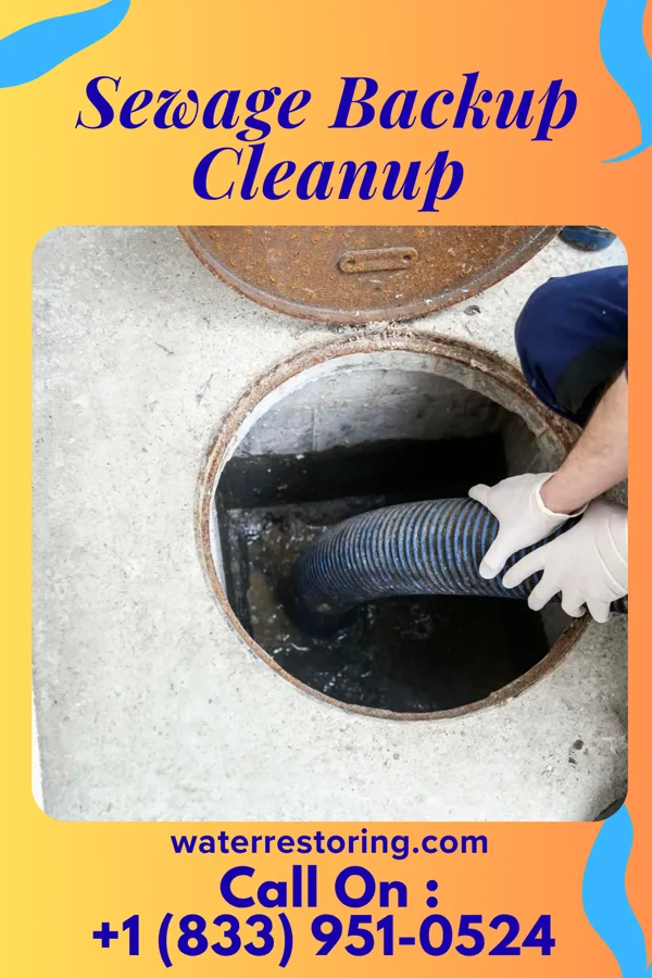 Sewage Backup Cleanup in Kingsville, MO